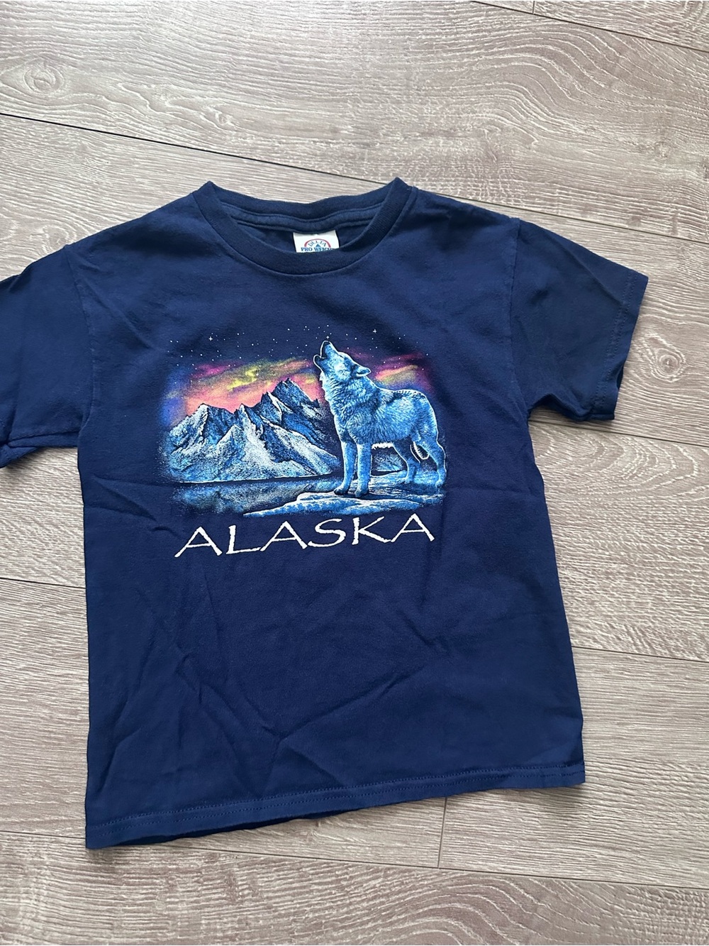 Delta Navy Kids Tee with Alaska Wolf Graphic